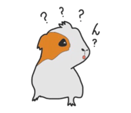 Do you know the guinea pig? sticker #9415313