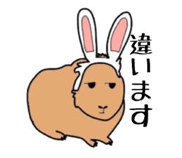 Do you know the guinea pig? sticker #9415316