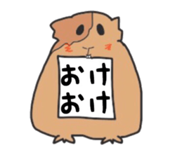 Do you know the guinea pig? sticker #9415325