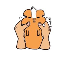 Do you know the guinea pig? sticker #9415328