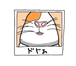 Do you know the guinea pig? sticker #9415329