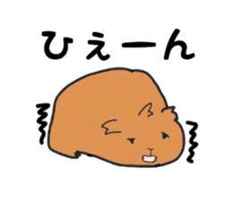 Do you know the guinea pig? sticker #9415341