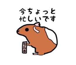 Do you know the guinea pig? sticker #9415342