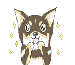 YUME-chan,Chihuahua sticker #9418584
