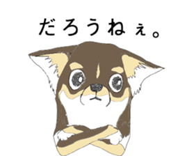 YUME-chan,Chihuahua sticker #9418585