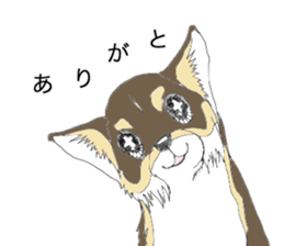 YUME-chan,Chihuahua sticker #9418587