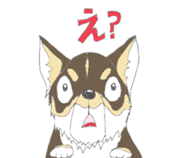 YUME-chan,Chihuahua sticker #9418589