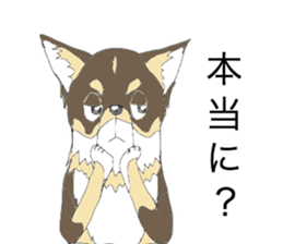 YUME-chan,Chihuahua sticker #9418596