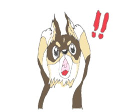 YUME-chan,Chihuahua sticker #9418598