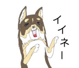 YUME-chan,Chihuahua sticker #9418599
