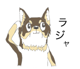 YUME-chan,Chihuahua sticker #9418600