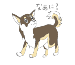 YUME-chan,Chihuahua sticker #9418602