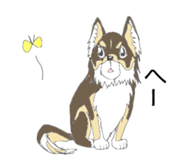 YUME-chan,Chihuahua sticker #9418604