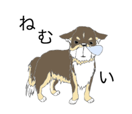 YUME-chan,Chihuahua sticker #9418606