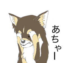 YUME-chan,Chihuahua sticker #9418609