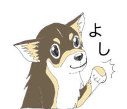 YUME-chan,Chihuahua sticker #9418610