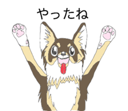 YUME-chan,Chihuahua sticker #9418611