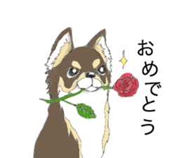 YUME-chan,Chihuahua sticker #9418612