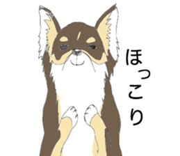 YUME-chan,Chihuahua sticker #9418613