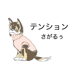 YUME-chan,Chihuahua sticker #9418615