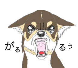 YUME-chan,Chihuahua sticker #9418616