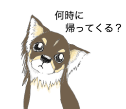 YUME-chan,Chihuahua sticker #9418620