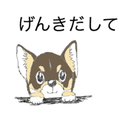 YUME-chan,Chihuahua sticker #9418623
