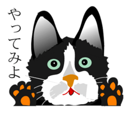 the world of a cat sticker #9420911