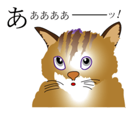 the world of a cat sticker #9420917