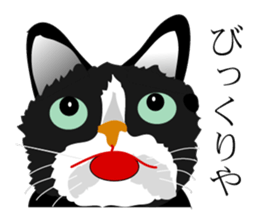 the world of a cat sticker #9420921