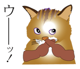 the world of a cat sticker #9420938