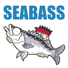 SEA BASS FISHING STICKER