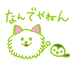 Kansai accent Pomeranian  "PONTA" sticker #9423870