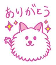Kansai accent Pomeranian  "PONTA" sticker #9423877