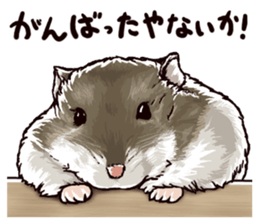 hamster ginji2 sticker #9425024