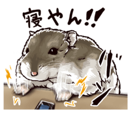 hamster ginji2 sticker #9425025