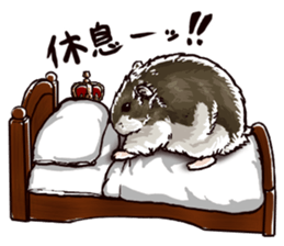 hamster ginji2 sticker #9425030