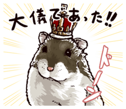 hamster ginji2 sticker #9425031