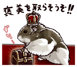 hamster ginji2 sticker #9425034
