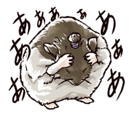 hamster ginji2 sticker #9425044