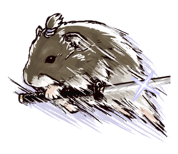 hamster ginji2 sticker #9425045