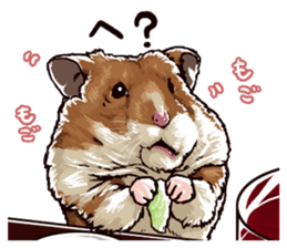 hamster ginji2 sticker #9425048