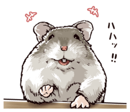 hamster ginji2 sticker #9425051