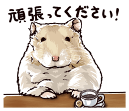 hamster ginji2 sticker #9425054