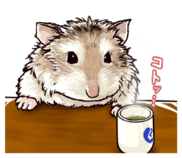hamster ginji2 sticker #9425057