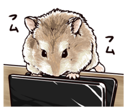 hamster ginji2 sticker #9425058