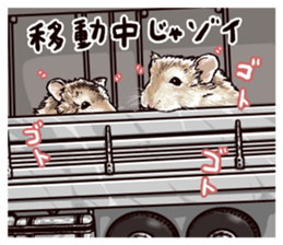 hamster ginji2 sticker #9425059