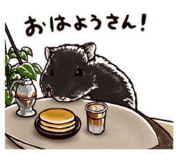 hamster ginji2 sticker #9425060