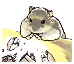 hamster ginji2 sticker #9425062