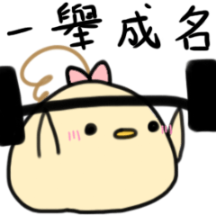 The Octagon of Life XI